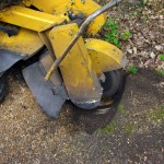 Verwijderen boomstronk tot 45 cm onder maaiveld